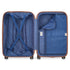 Delsey FLANERIE SE Medium Spinner