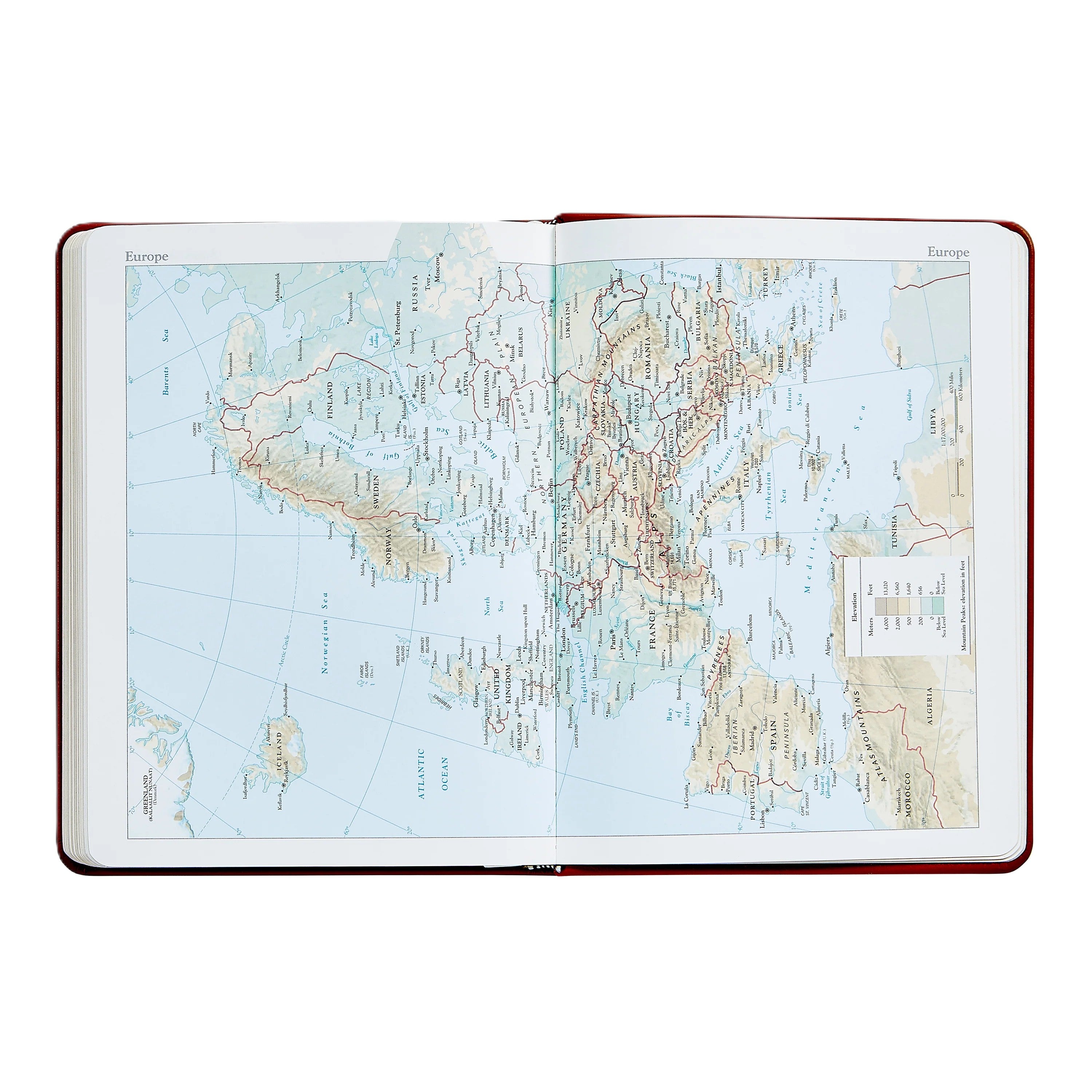 Graphic Image 2026 Desk Diary Goatskin Leather