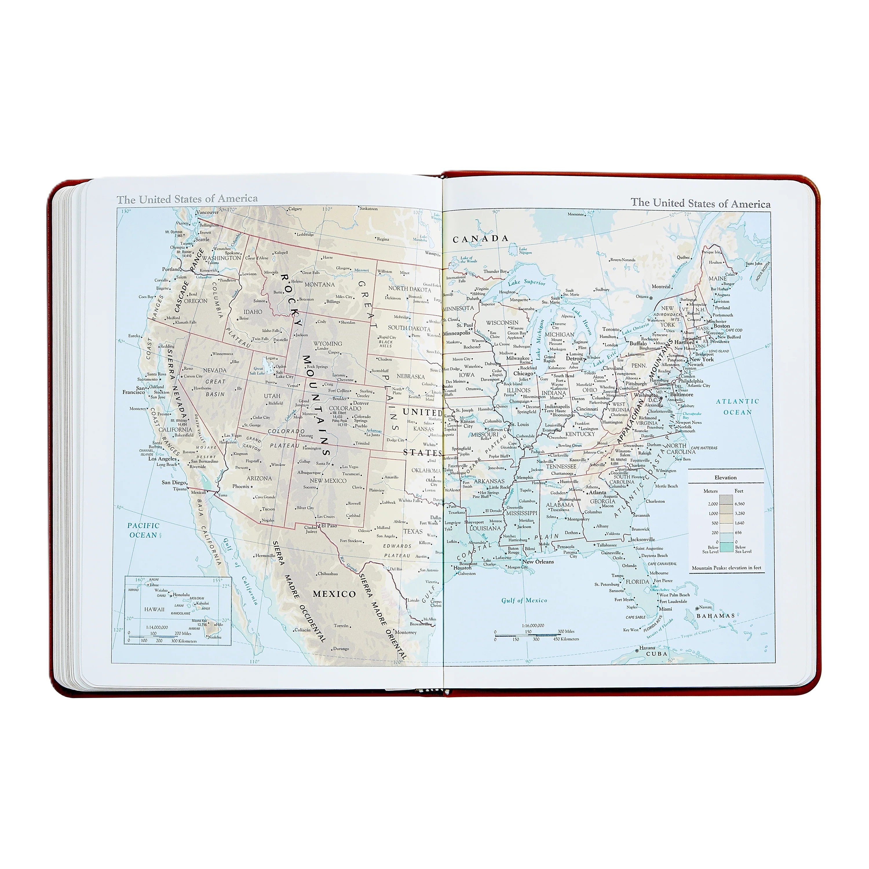 Graphic Image 2026 Desk Diary Embossed Croc Leather