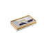 Visconti "LE PETIT PRINCE" Special Edition 80th Anniversary Fountain Pen