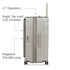 Arlo Skye The Expandable Topload Trunk - Large