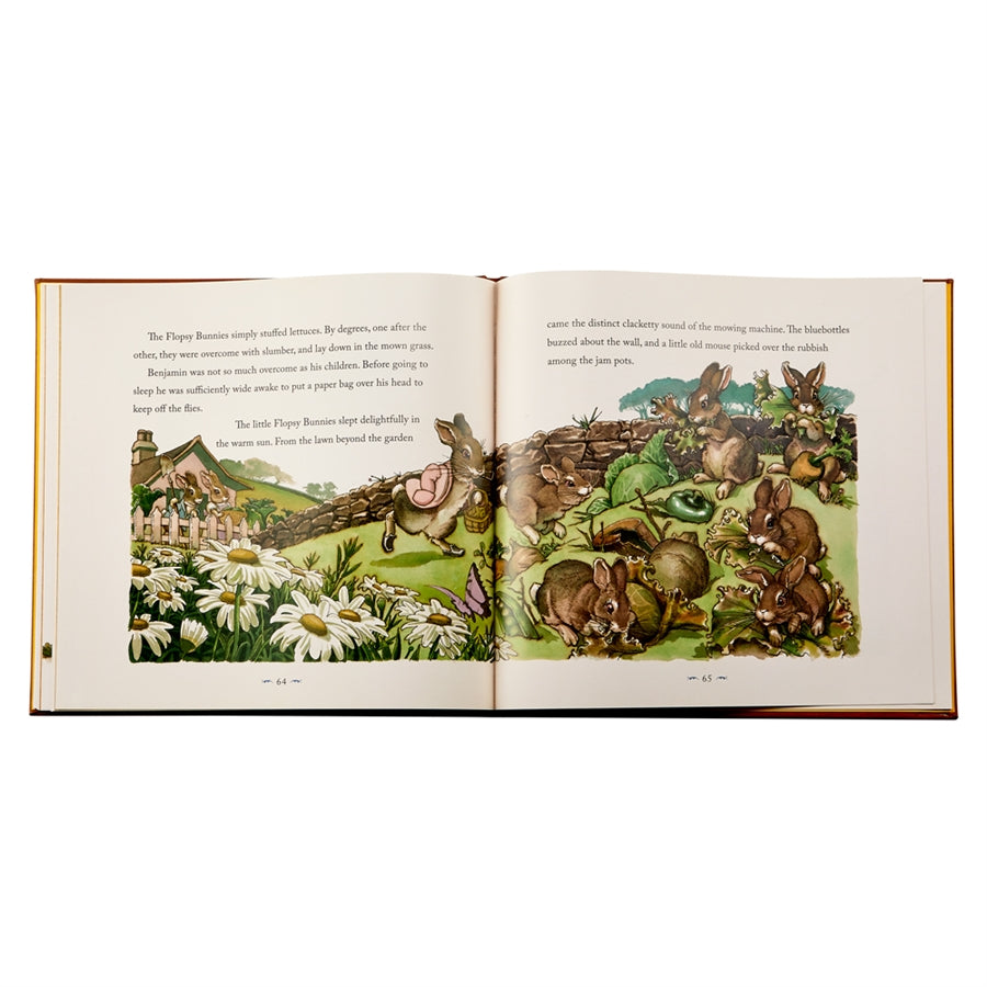 Graphic Image The Classic Tale of Peter Rabbit Genuine Leather