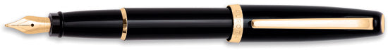 Aurora Style Black Pepper Fountain Pen